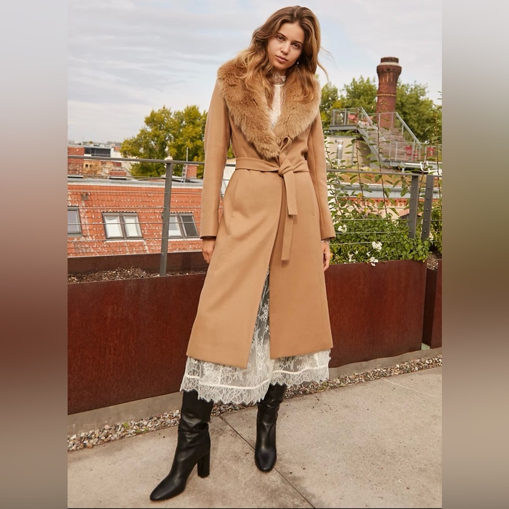 Aritzia Wilfred Waldorf Coat